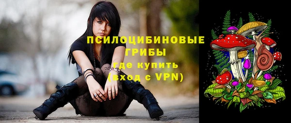 гидра Алексин