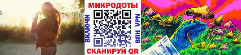 Галлюциногенные грибы Cubensis  где купить наркоту  Димитровград 