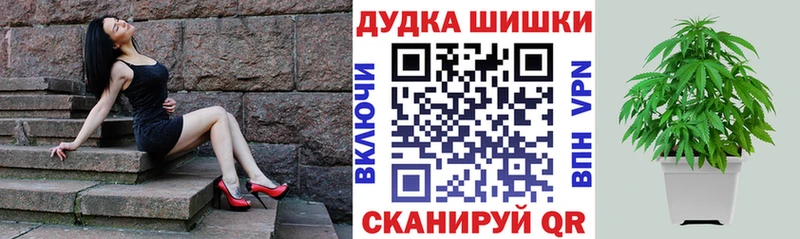 площадка как зайти  Димитровград  Каннабис OG Kush  купить  